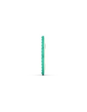 Mordedera Matchstick Monkey