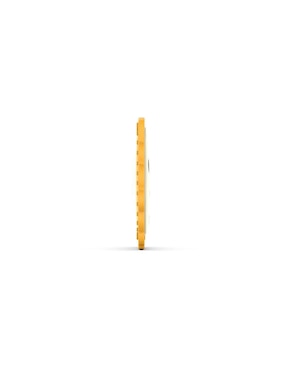 Mordedera Matchstick Monkey