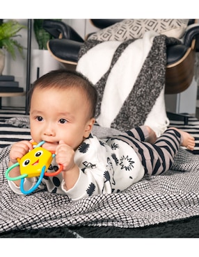 Mordedera Baby Einstein Ocean Explorers