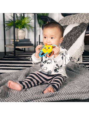 Mordedera Baby Einstein Ocean Explorers