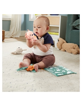 Juguete set de regalos muchos sentidos Fisher Price