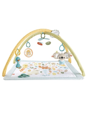 Gimnasio Fisher Price de plástico