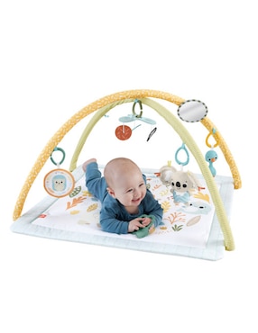 Gimnasio Fisher Price de plástico