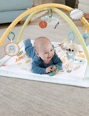 Gimnasio Fisher Price de plástico