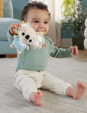 Gimnasio Fisher Price de plástico
