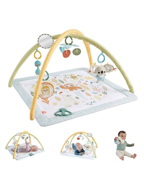 Gimnasio Fisher Price de plástico