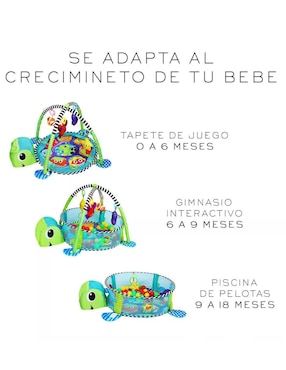 Gimnasio de plástico