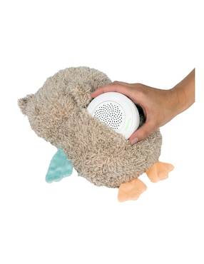 Amplificador Ingenuity Sound Machines
