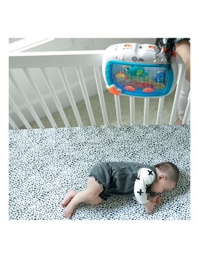 Amplificador Baby Einstein Ocean Explorers 11058
