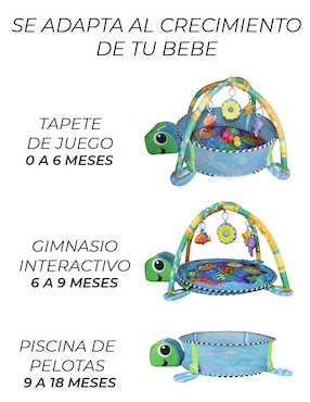 Gimnasio Noni