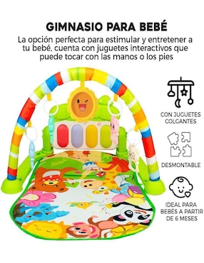 Gimnasio Lab.g