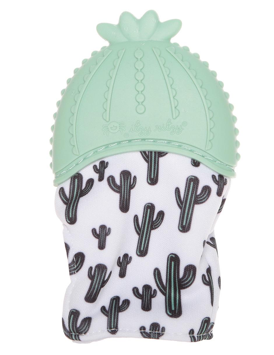 Mordedera cactus 2