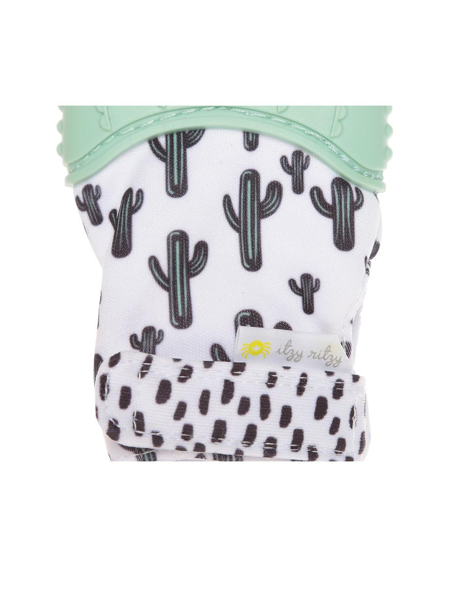 Mordedera cactus 3