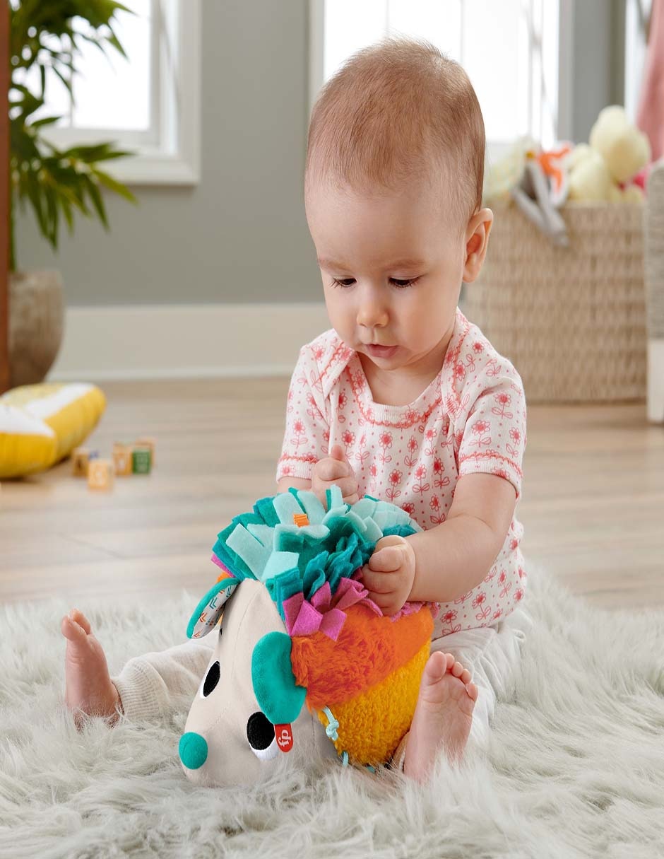 Fisher-Price Baby Erizo Estímulos Y Juego juego didáctico infantil unisex 3