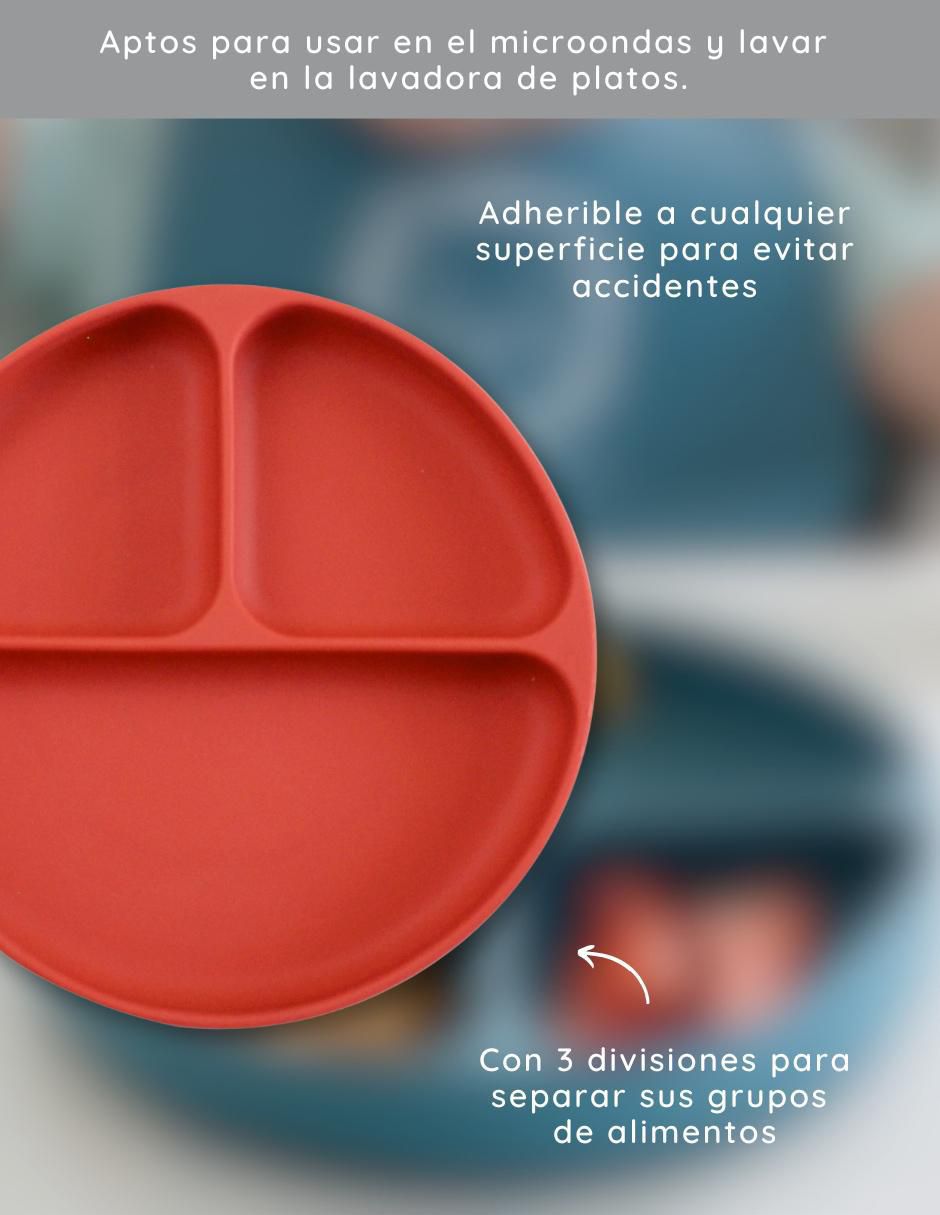 Plato de silicón 2