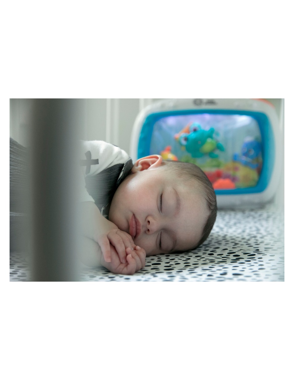 Amplificador Ocean Explorers 11058 2