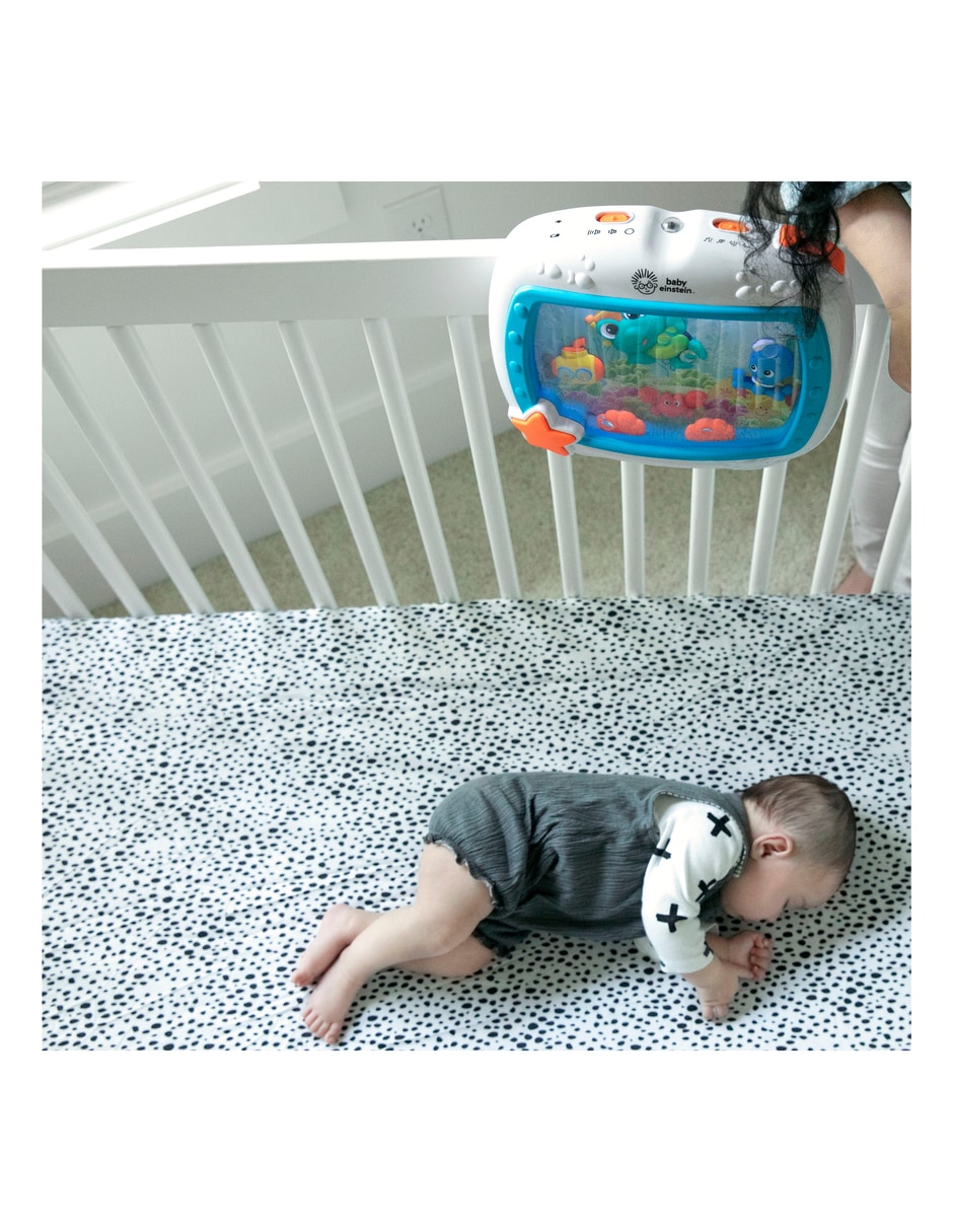 Amplificador Ocean Explorers 11058 3