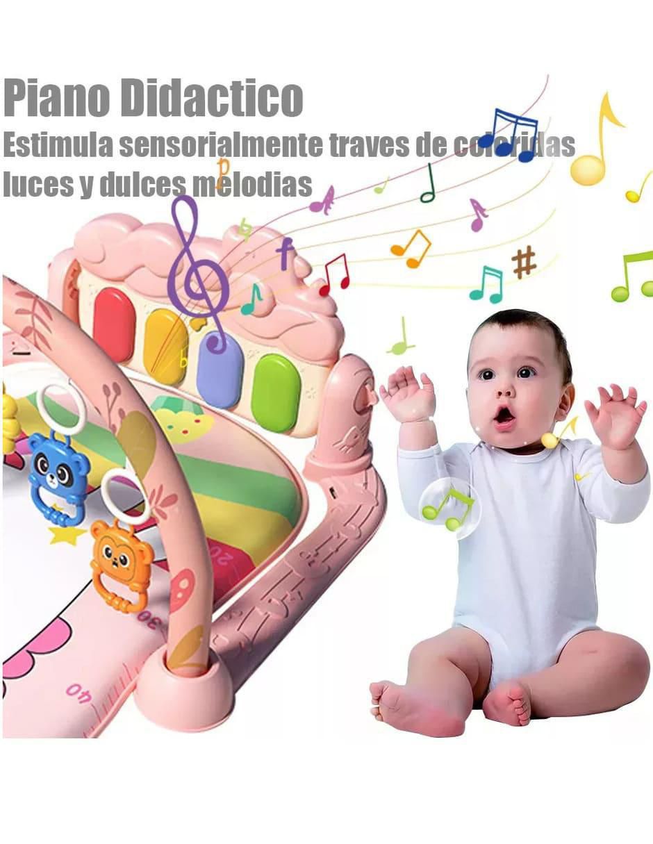 Gimnasio 5