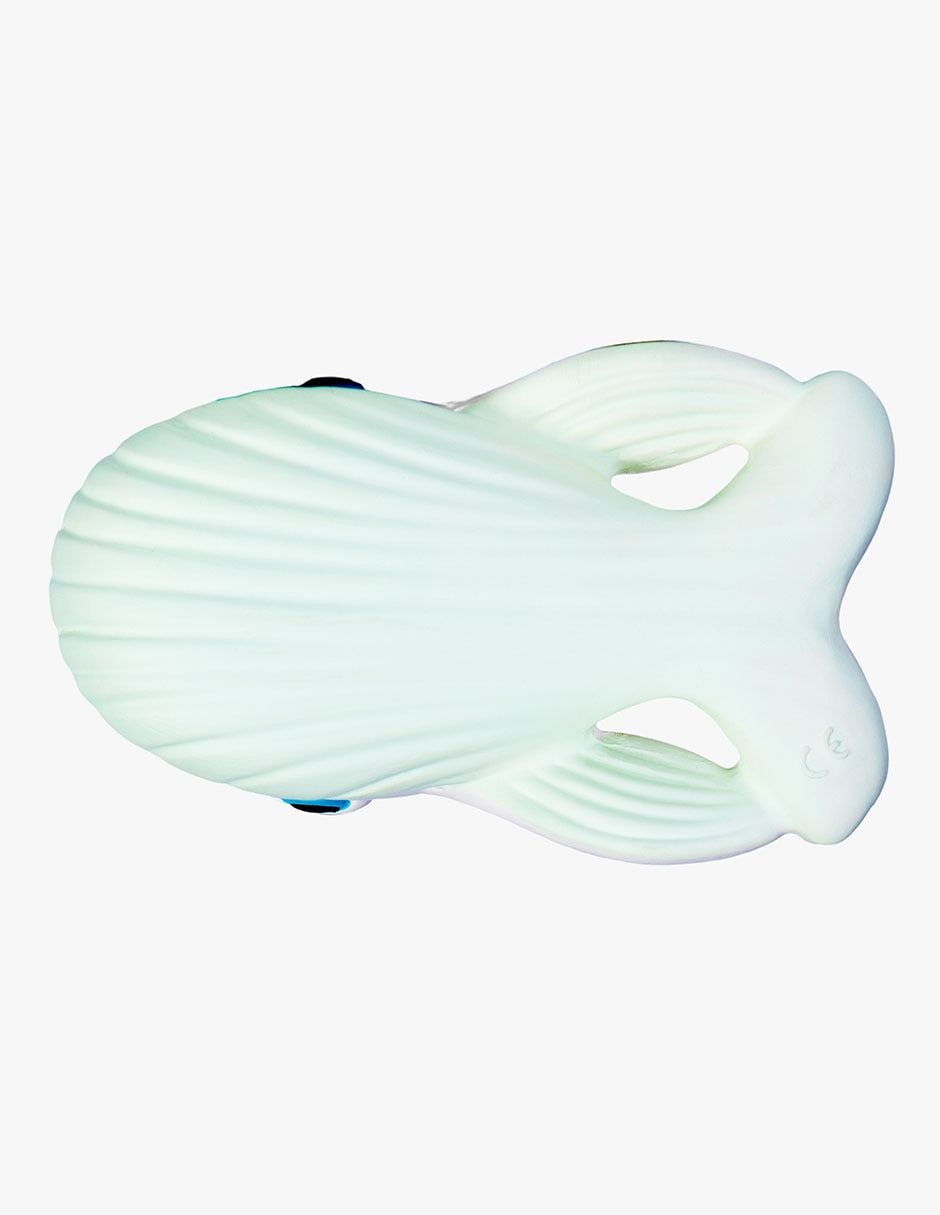 Ballena bebé 3