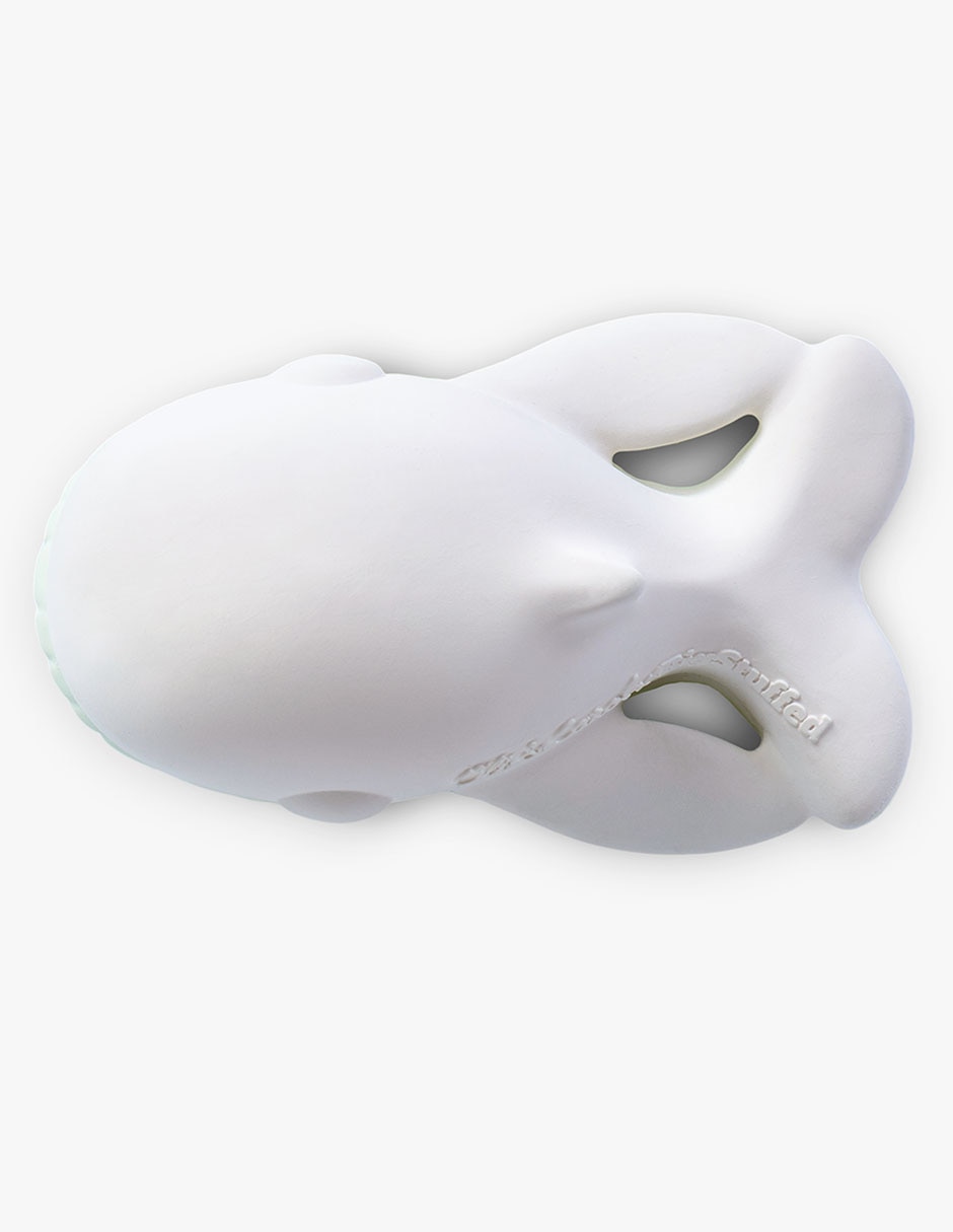 Ballena bebé 4