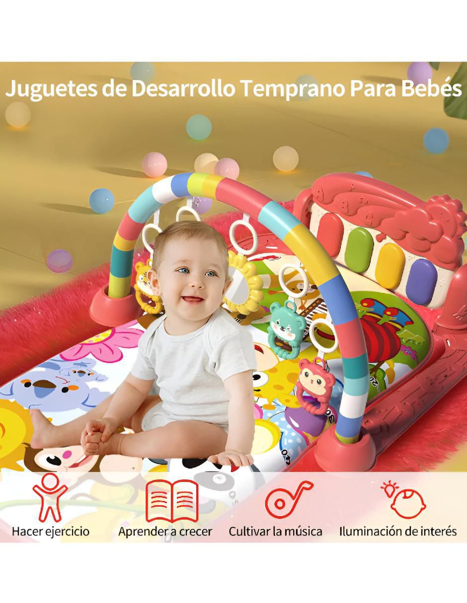Tapete de plástico 2