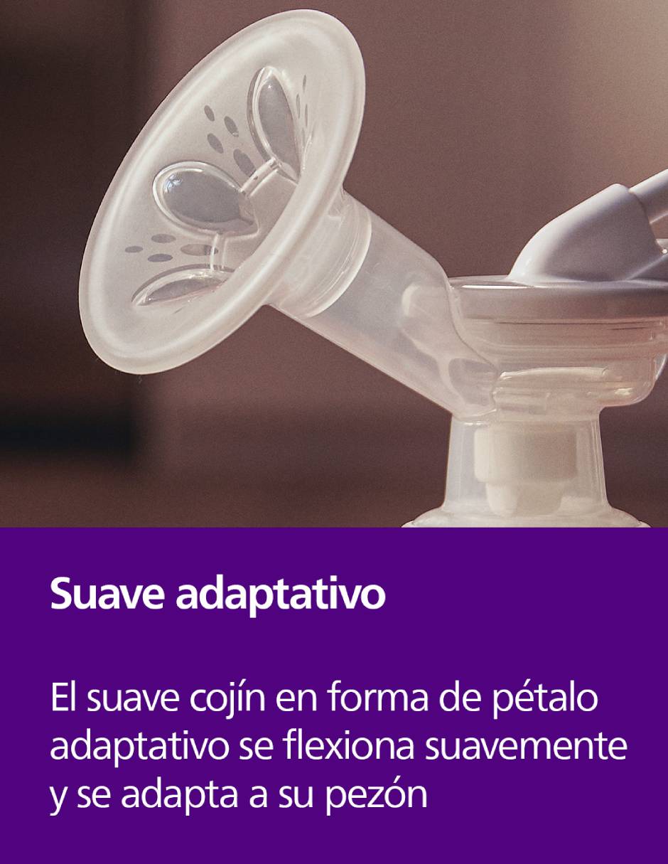 Extractor eléctrico simple 3