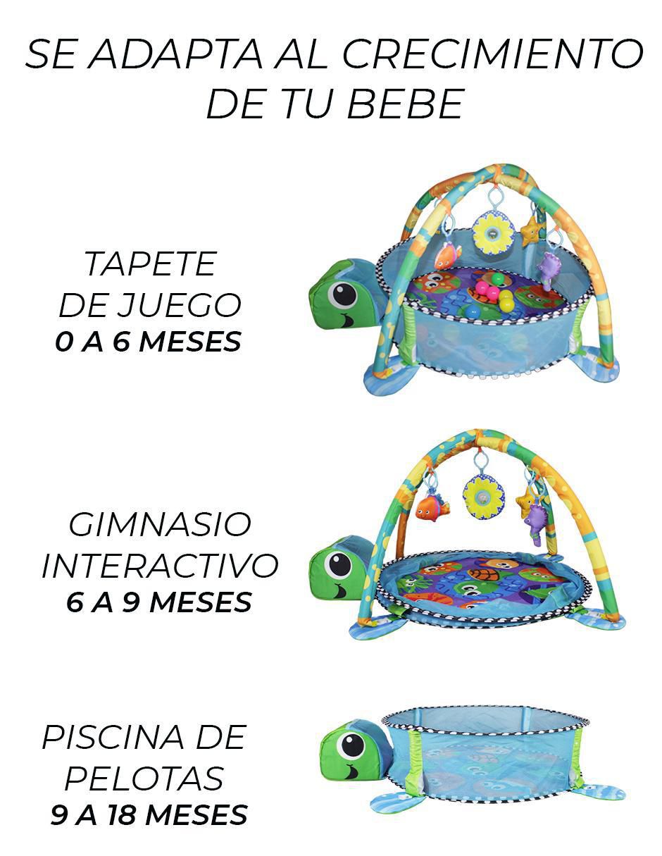Gimnasio 2