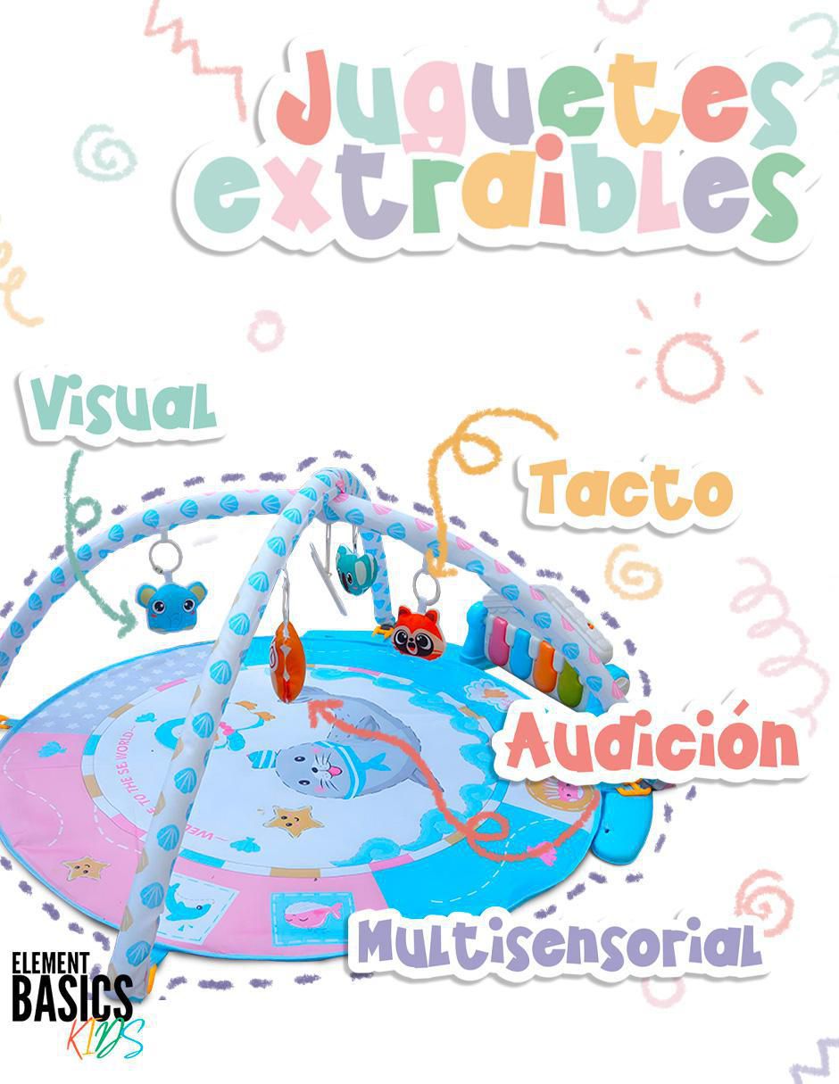 Gimnasio didáctico 6