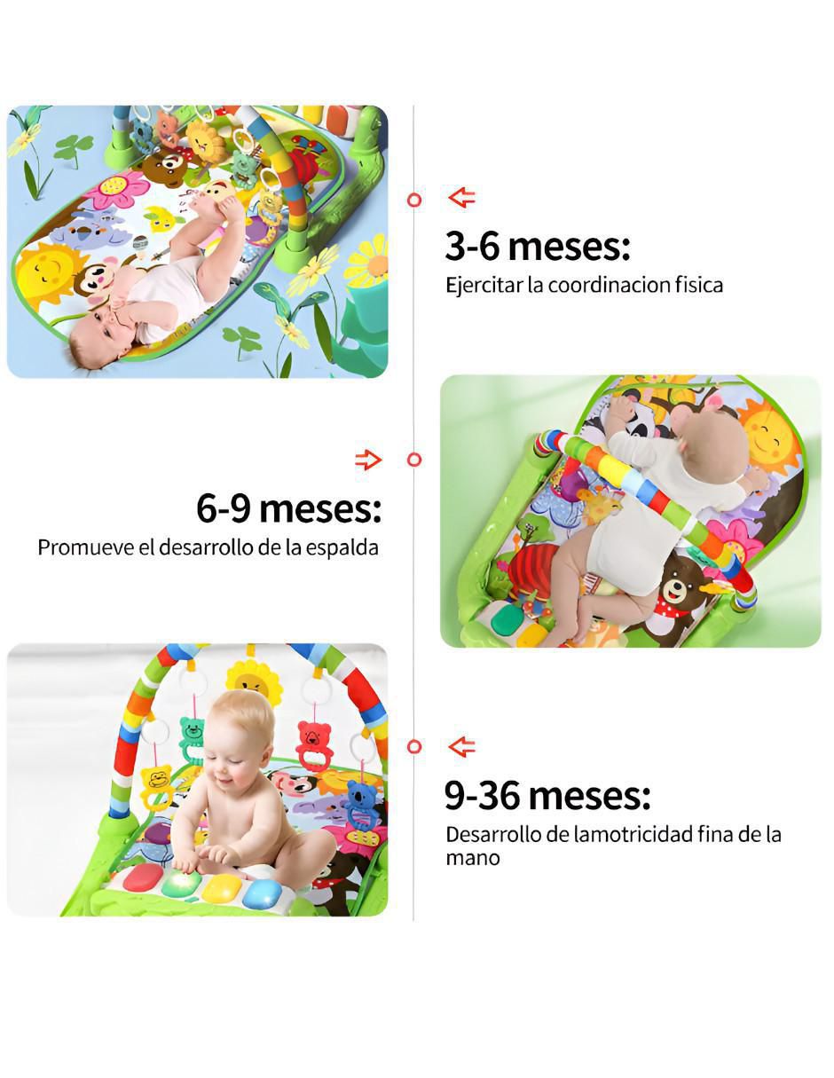 Gimnasio de plástico 3