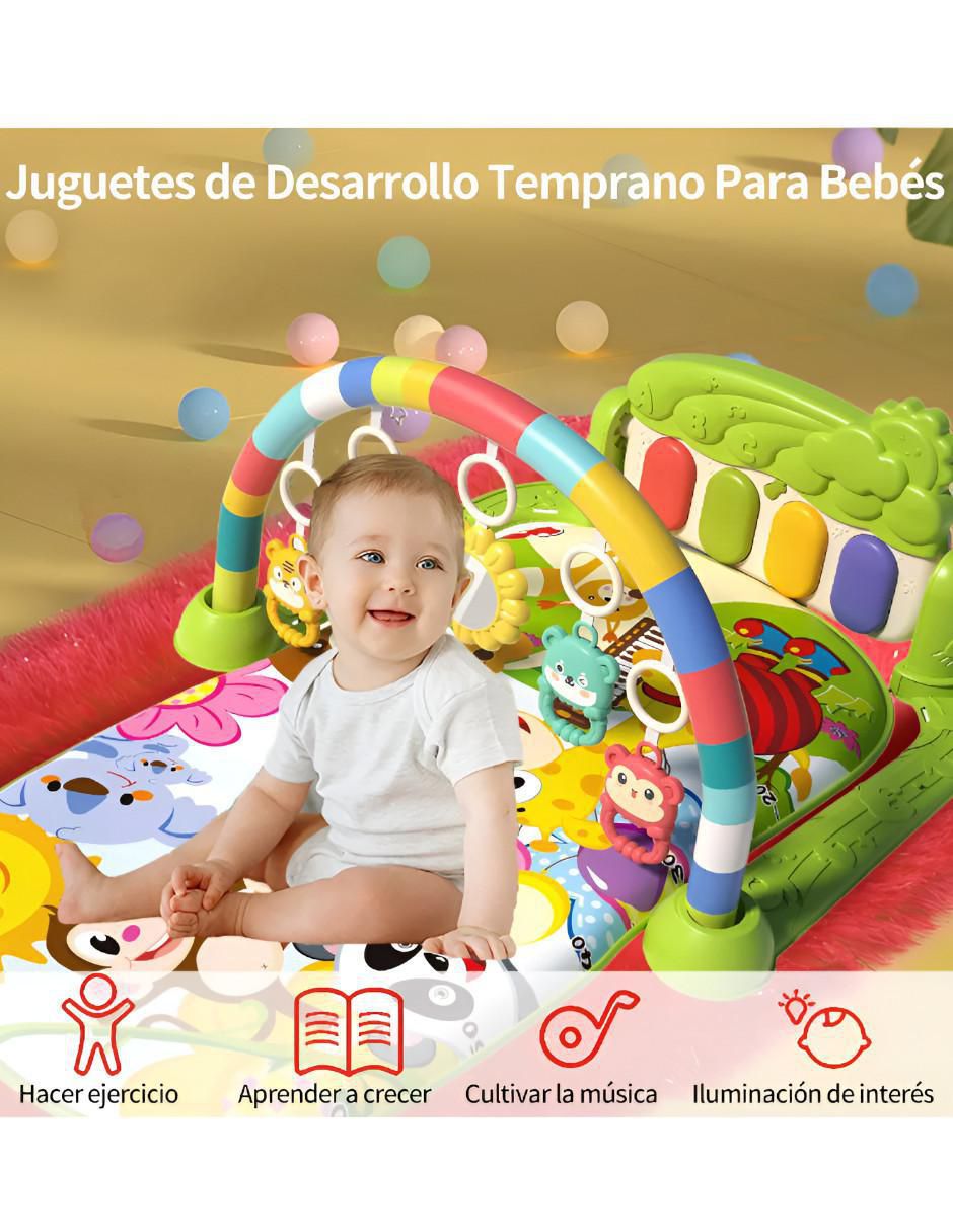 Gimnasio de plástico 4