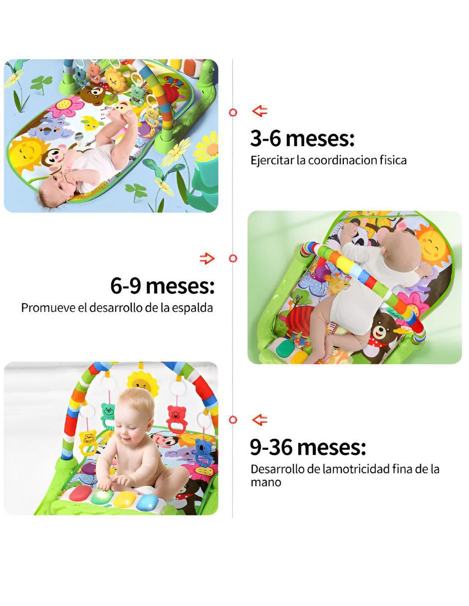 Gimnasio 2