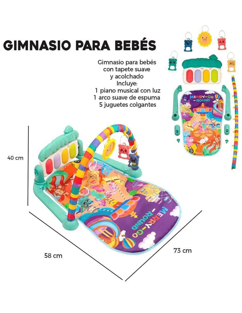 Gimnasio 5