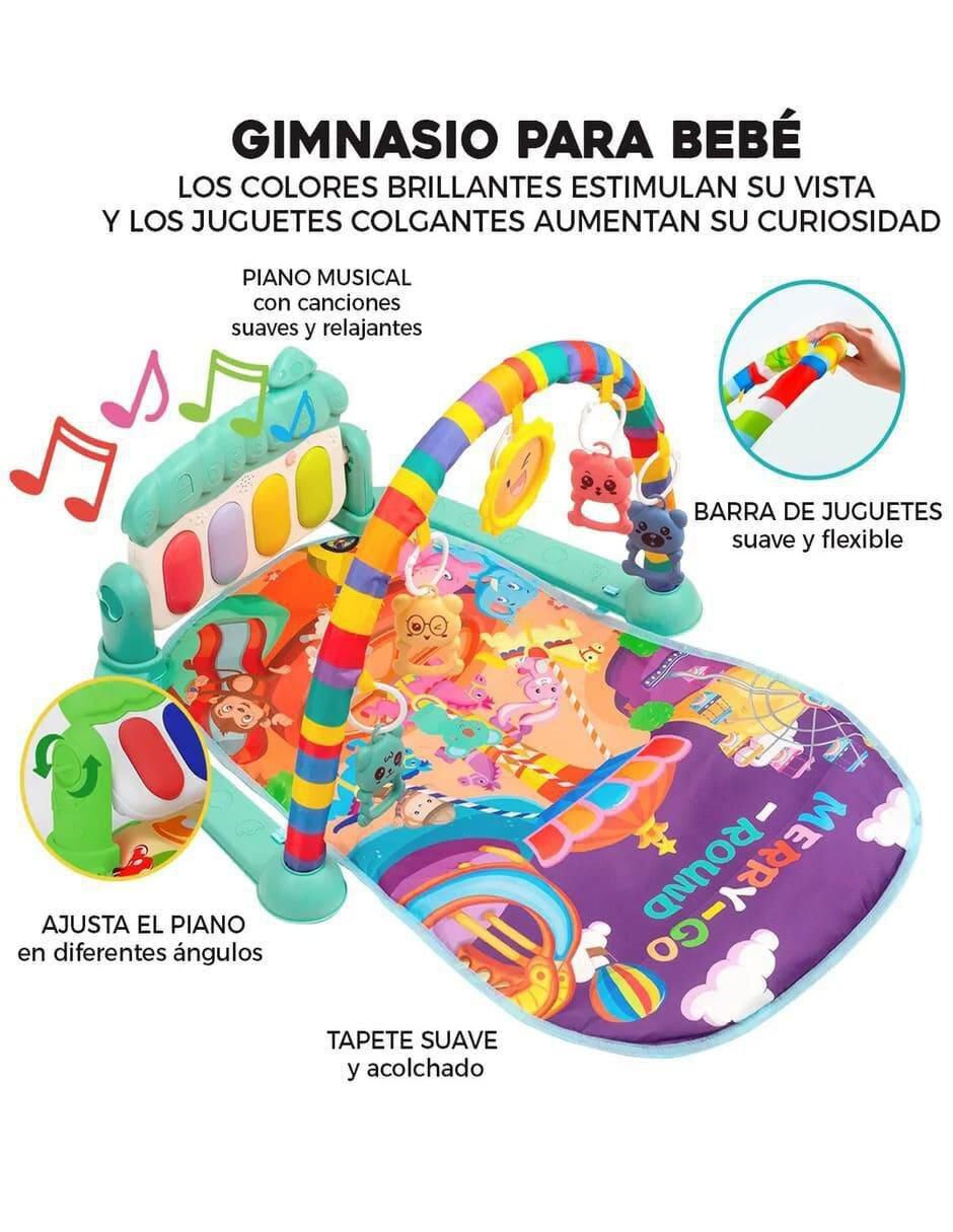 Gimnasio 4