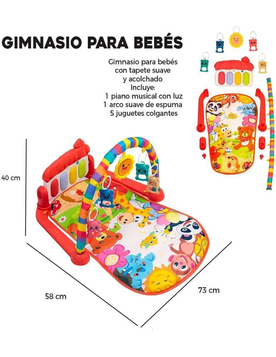 Gimnasio 4