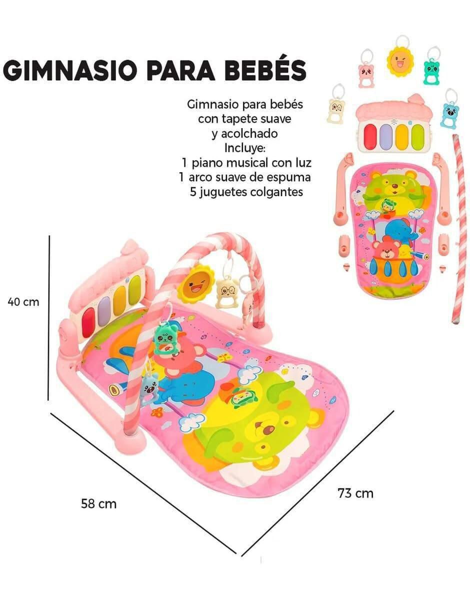 Gimnasio 5