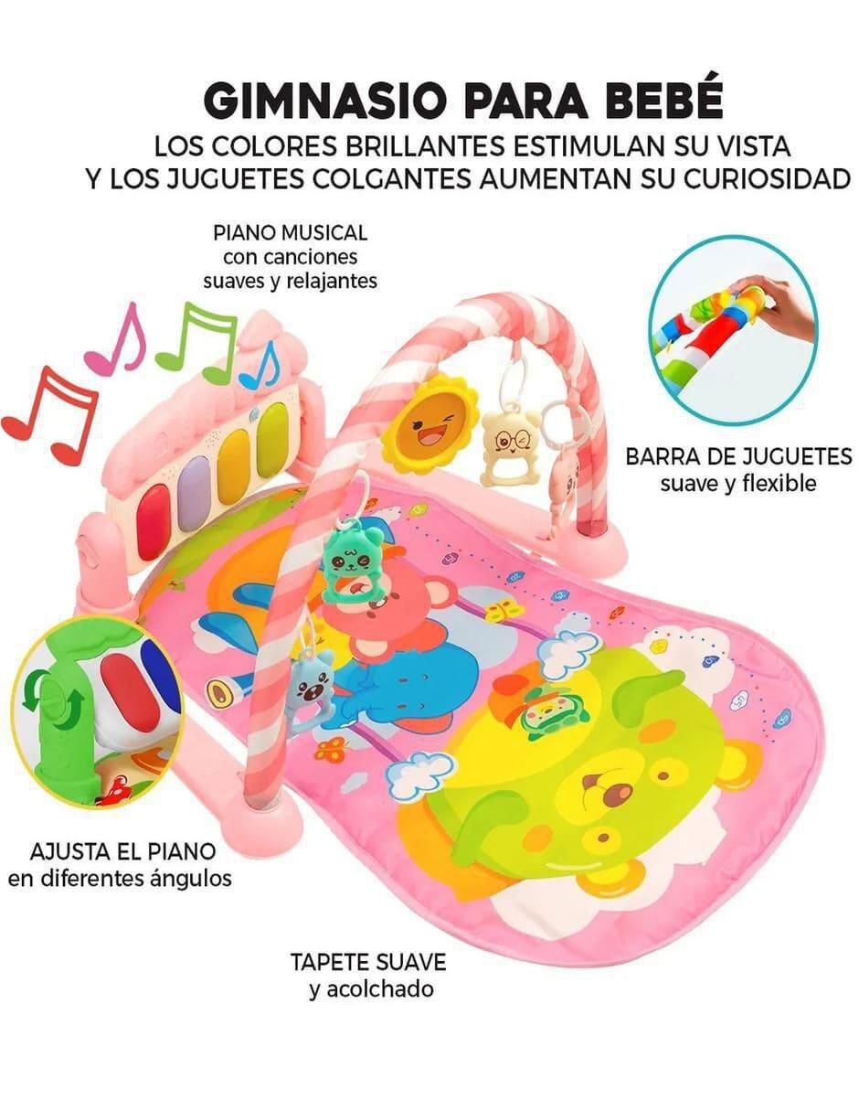 Gimnasio 4