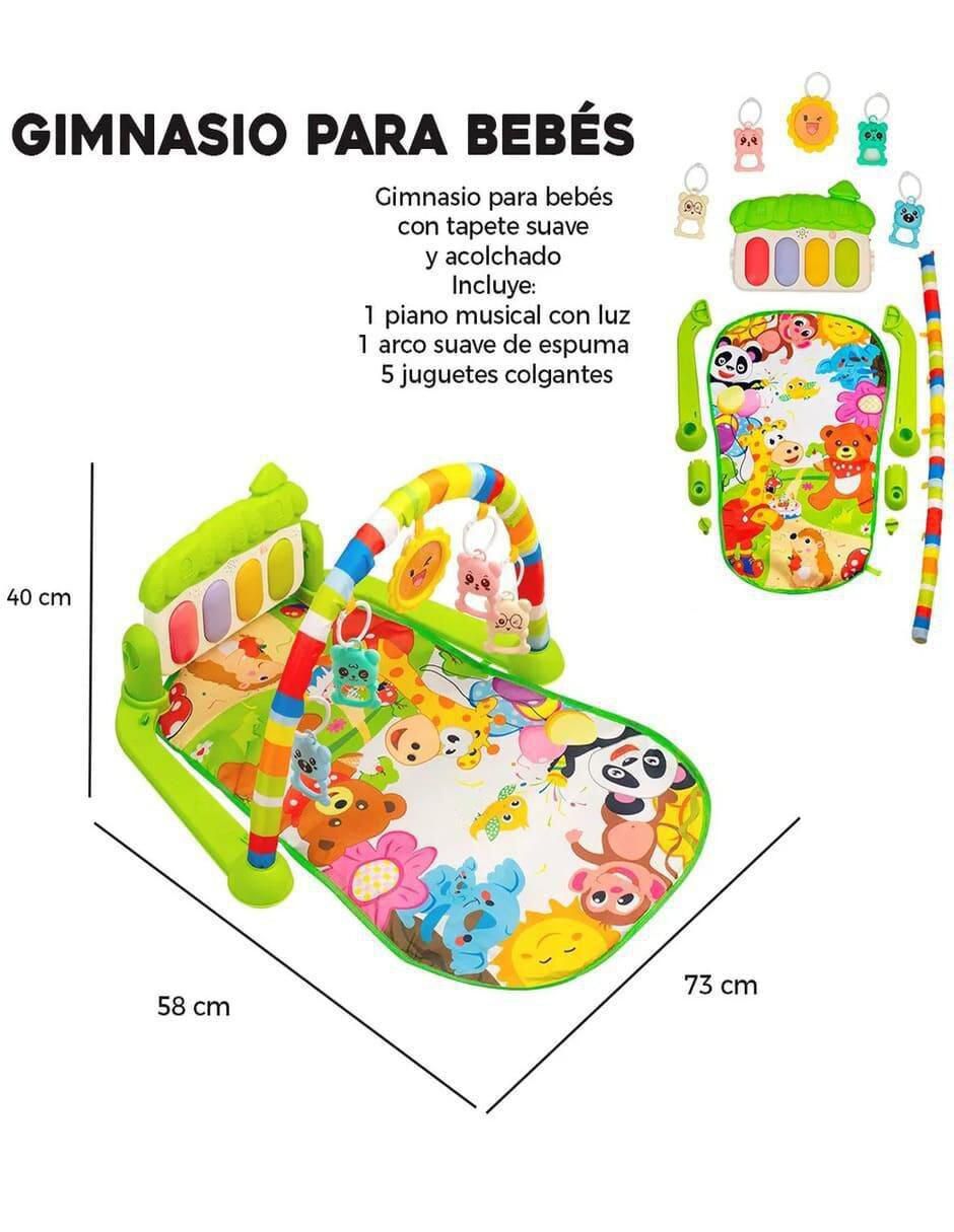 Gimnasio 5