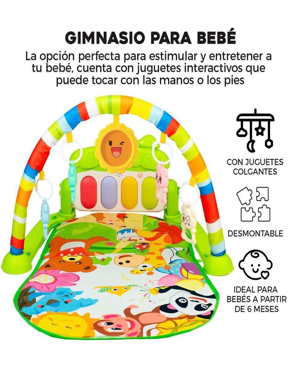 Gimnasio 2