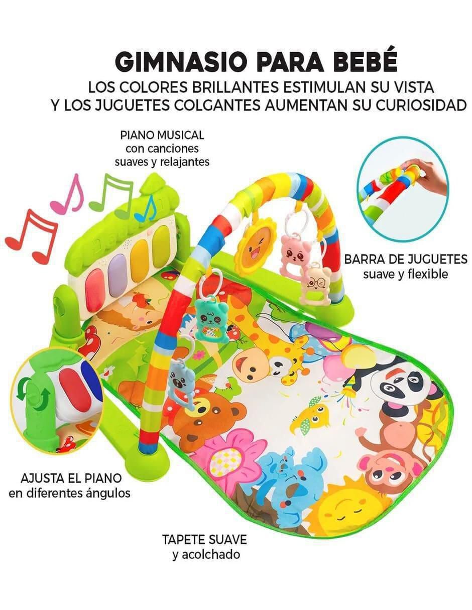 Gimnasio 4