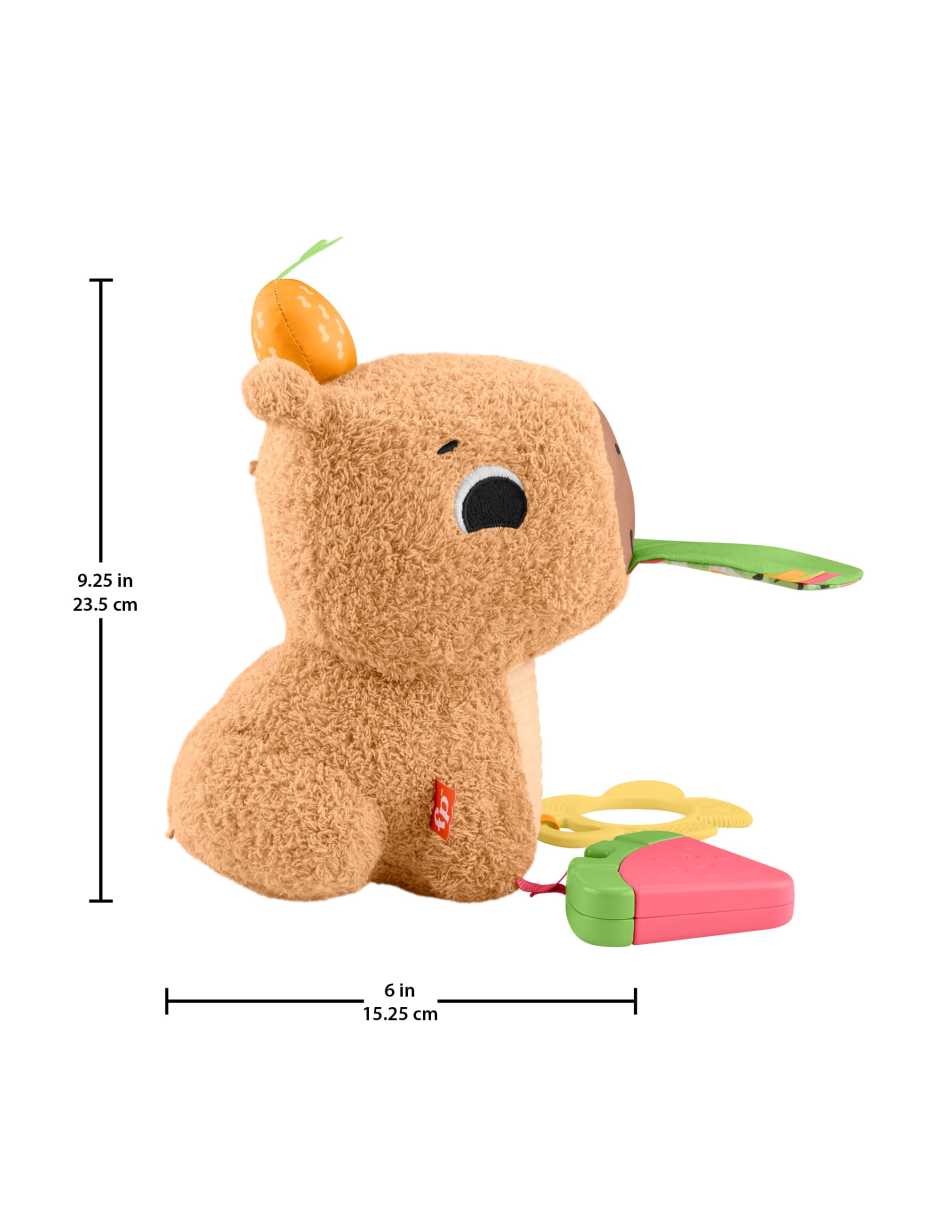 Capibara estímulos y juego Baby juego didáctico para niño 5