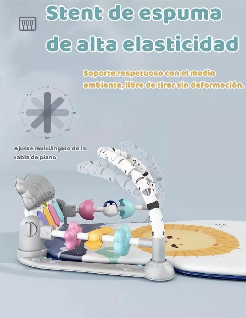 Gimnasio 2